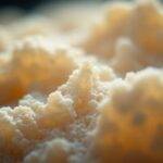 Nærbilde av porøst materiale med tekstur.